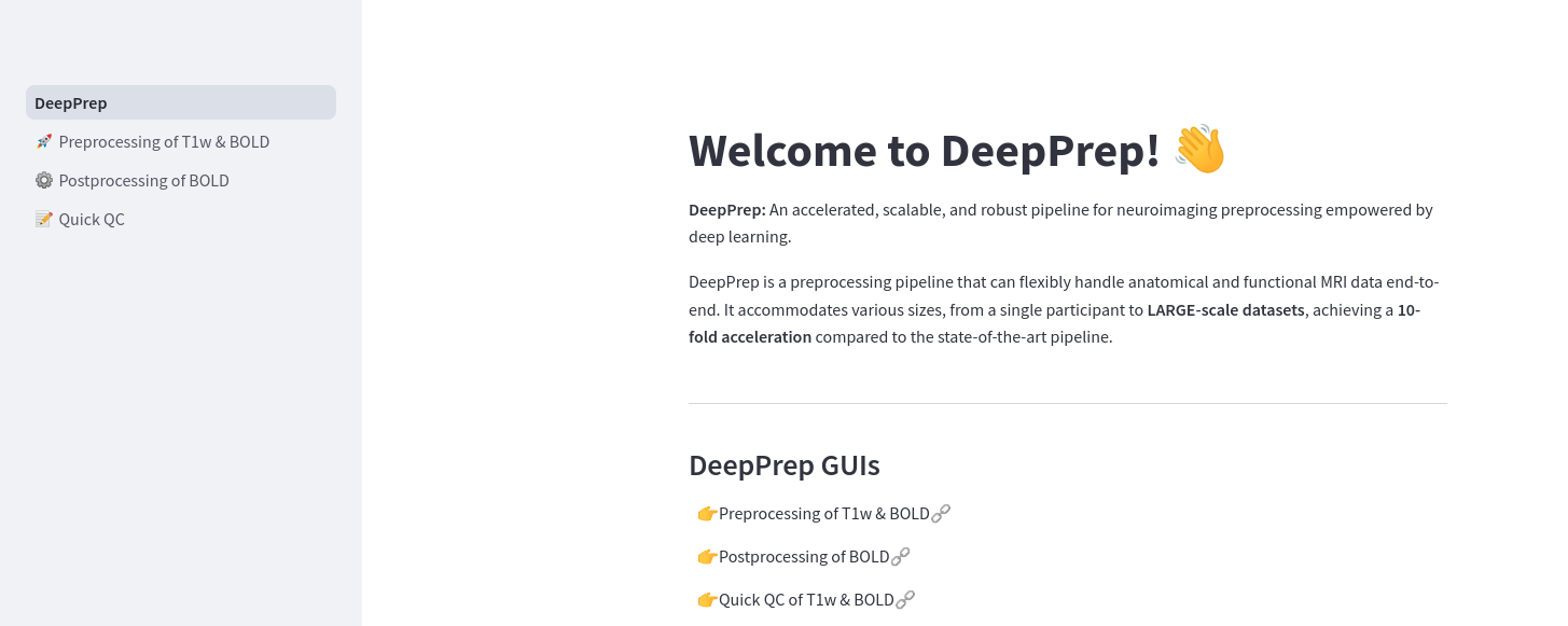 https://download.anning.info/ninganme-public/DeepPrep/docs/source/25.1.x/gui_page.png