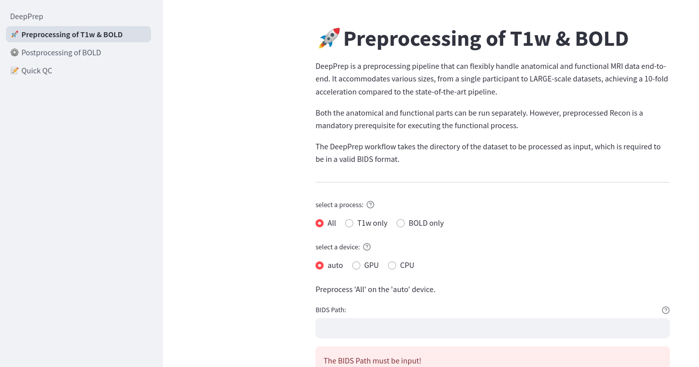 https://download.anning.info/ninganme-public/DeepPrep/docs/source/25.1.x/gui_page1.png